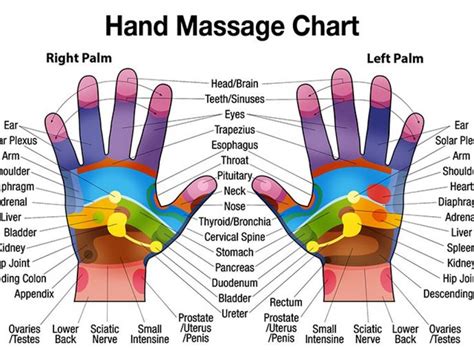 Free Downloadable Foot Massage Chart For Self Healing