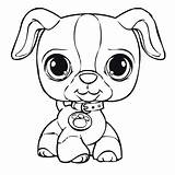 Coloring Pages Puppy Draw Cute Puppies Print Own Forget Supplies Don sketch template
