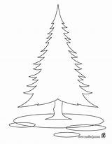 Colorear Sapin Abeto Ausmalen Tannenbaum Hellokids Vide Arbol Arboles Farben sketch template