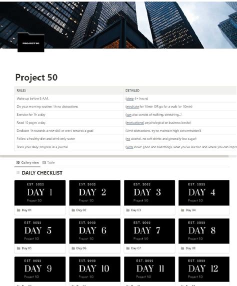 project  notion template etsy