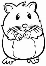 Hamster Coloringfolder sketch template