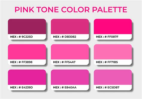 conjuntos de amostras de paletas de cores em tom rosa  vetor  vecteezy