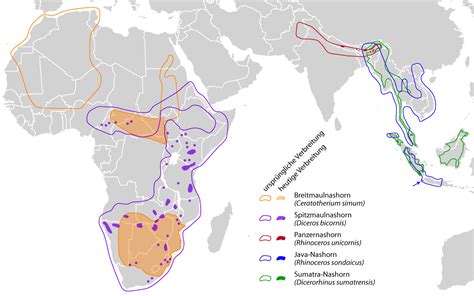 range   rhinoceros species map rhinoceros cartography