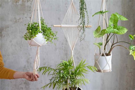 clever ways  hang plants