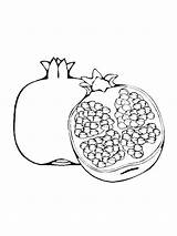 Pomegranate Printable sketch template