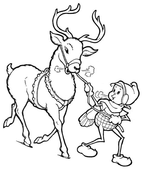 christmas reindeer coloring pages  coloring   animal