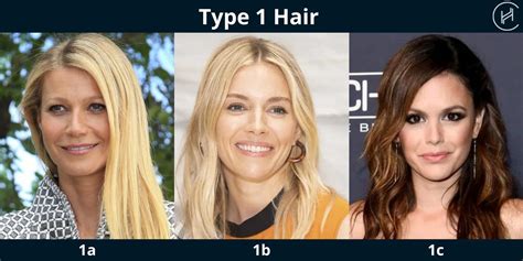 hair type andre walker hair typing system trends beauty