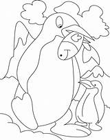 Penguin Coloringhome นท จาก sketch template