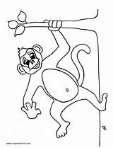 Coloring Pages Monkey Popular sketch template