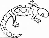 Lizard Coloring Monitor Pages Getdrawings Drawing sketch template