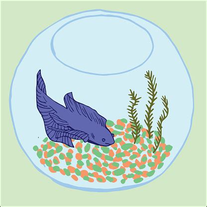 fish bowl stock illustration  image  istock