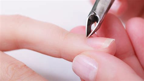 to cut or not cut cuticles