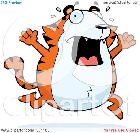 clipart of a cartoon scared screaming chubby tiger running royalty free vector illustration by