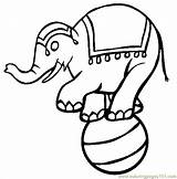 Elephant Circus Coloring Pages Animals Online Printable Color sketch template