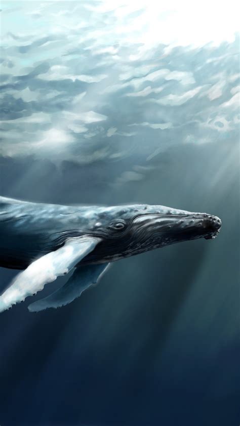 wallpaper whale sea ocean water underwater diving art rays world s best diving sites