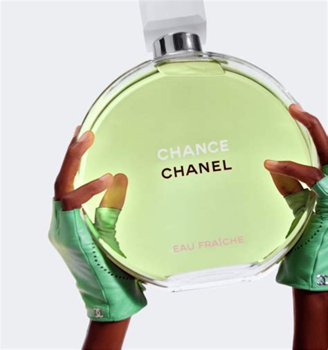 introducir  imagen chanel chance eau fraiche perfume abzlocalmx