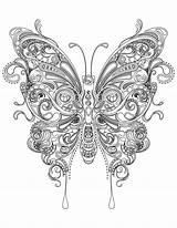 Coloriage Papillon Mandala Adulte Colorier Difficile Avons Bubakids sketch template
