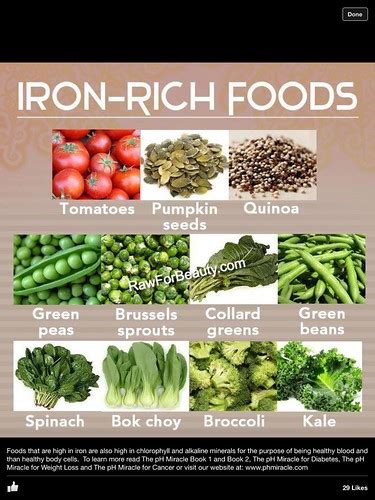 Iron Rich Foods To Prevent Anemia Could Lower Dementia Risk Tapgenes