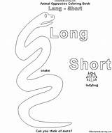 Coloring Long Short Opposites Animal Book Learning Enchantedlearning Books Big Small Enchanted Search Longshort Crafts 79kb sketch template