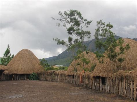 rumah adat suku papua desain rumah minimalis