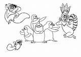 Kolorowanki Madagaskar Druku Madagascar Penguins Darmowe Filmu Kolorowania Obrazki Dzieci sketch template