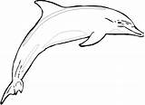 Dolphin Coloring Delfino Delfin Dauphin Colorare Shark Ausmalen Ausdrucken Delfini Dolphins Disegni Clipartmag Coloriages Indietro Malvorlagen sketch template