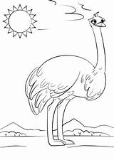 Ostrich Coloring Letter Pages Cartoon Printable Preschool Alphabet Supercoloring Kids Worksheets Drawing Printables Book Crafts Ocean Abc Animals Categories Puzzle sketch template