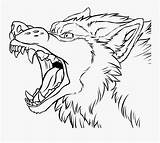 Wolf Angry Drawing Face Growling Snarling Line Getdrawings Coloring Pages Clipartkey Transparent Seekpng sketch template