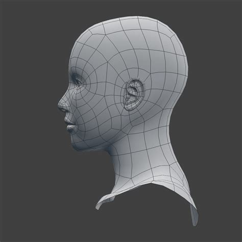 base female head mesh  model cgtrader