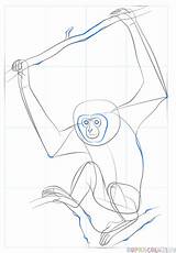 Gibbon Draw Lar Step Drawing sketch template