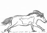 Coloring Horse Miniature Pages Runs Mini Printable Categories Drawing sketch template