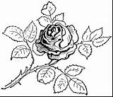 Coloring Pages Rose Roses Skull Flower Realistic Heart Drawing Small Opposites Tattoo Real Red Printable Leaf Adults Outline Big Color sketch template