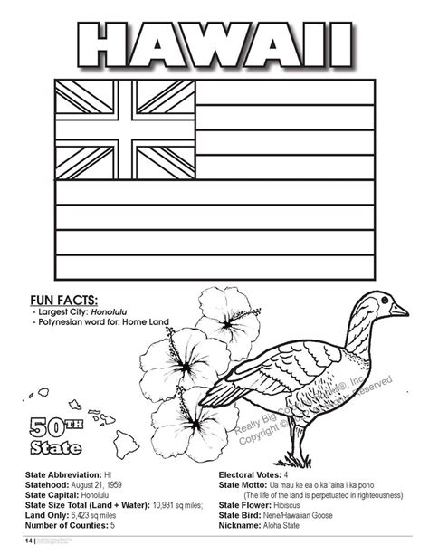 hawaii state coloring book