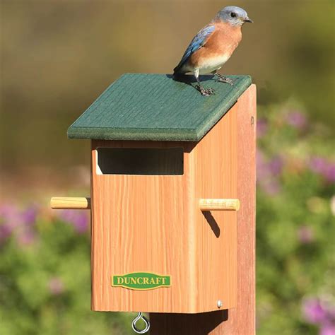 duncraftcom duncraft sparrow resistant bird house bird house bird
