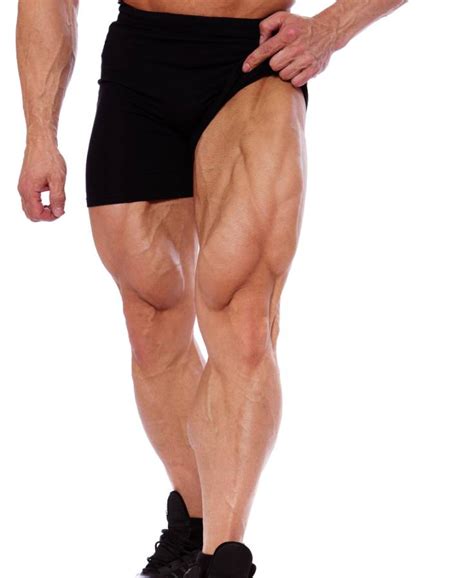 build calf muscles fast   muscular legs