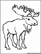 Moose Coloring Pages Printable Kids Clipart Fun Library Popular sketch template