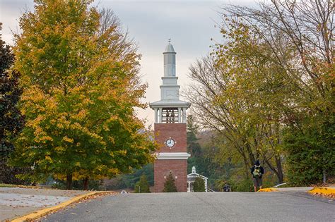 university   cumberlands recognized   tree campus usa