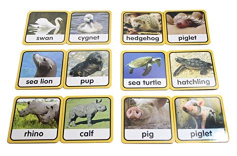 montessori inspired animal matching  cards