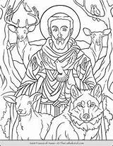Assisi Saints Thecatholickid Clare Acutis Patron Cnt sketch template