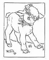 Lamb Lambs Agneau Animaux Sheep Paskah Mewarna Coloriages sketch template