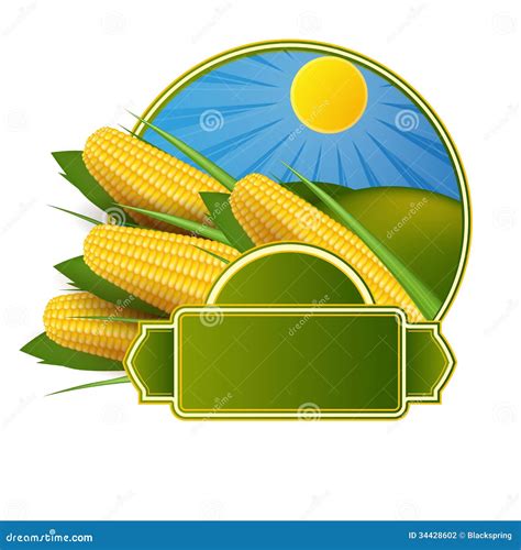 corn  label stock photography image