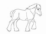 Shire Horse Coloring Pages Getcolorings Getdrawings sketch template