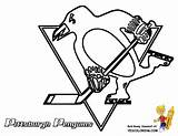 Hockey Coloring Pages Nhl Penguins Logo Pittsburgh Visit Logos Penguin sketch template