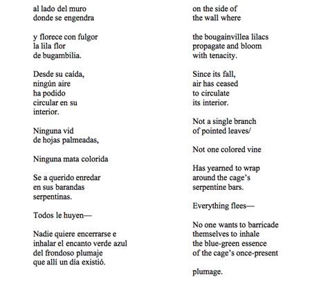 Translate Spanish Poem To English