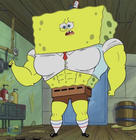 spongebob muscles  fitness experts   sponge swole