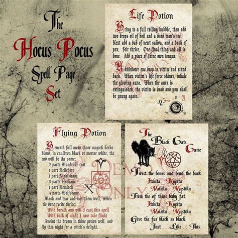 hocus pocus spell page set spell books    witch spell book