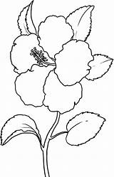 Hibiscus Hawaiian Bud Sheets sketch template