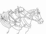Clydesdale Coloring Horses Fonika Getdrawings Sketch sketch template