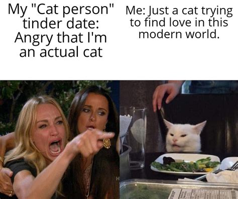 woman yelling   cat memes   slap   funny gallery ebaums world