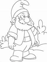 Gnome Coloring Garden Pages Fluffy Printable Beard Designlooter Getcolorings Getdrawings 33kb 795px 397px 88kb Color sketch template